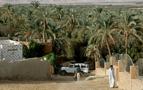Safari al oasis de Bahariya, consejos prácticos Safari al oasis de Bahariya, consejos prácticos