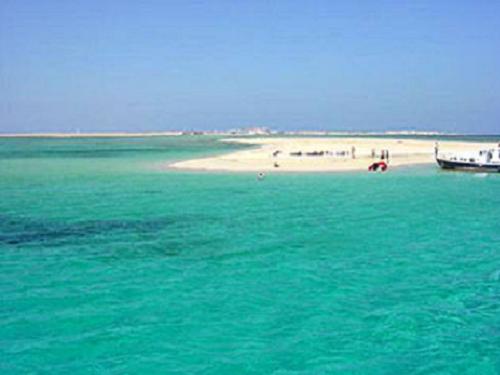 Safaga, paraíso en la tierra Safaga, paraíso en la tierra