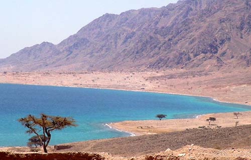 Área protegida de Ras Abu Galum al sur del Sinaí
