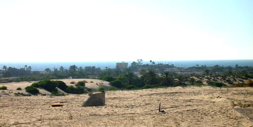 El Bosque Petrificado y la reserva de Al-Ahrash