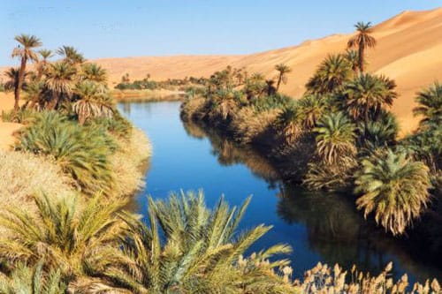 Los mejores oasis de Egipto en vídeo