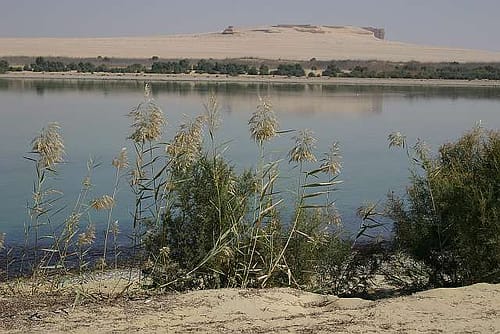 Wadi el Rayan, en el Fayum